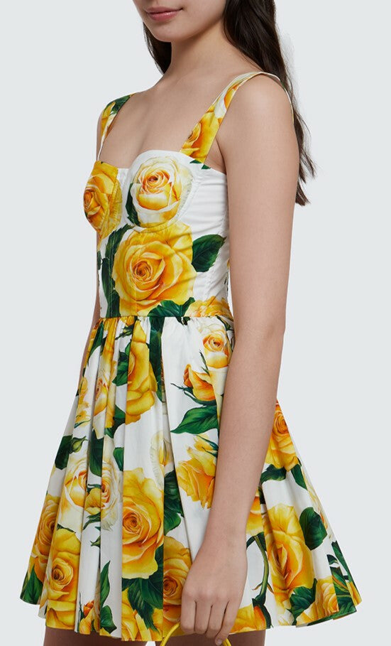 Rose Print Short Corset Dress